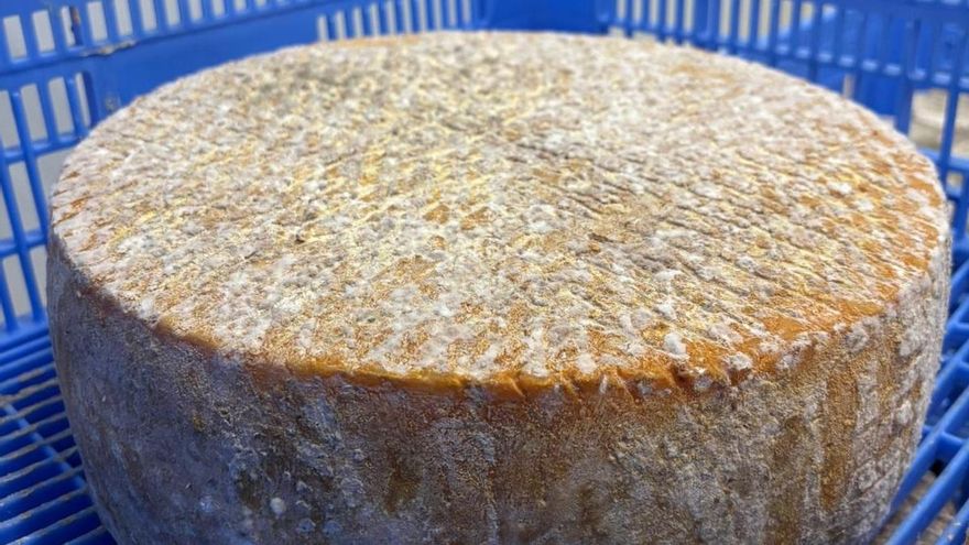 Una quesería toledana suma cuatro nuevos premios internacionales en Suiza y Francia