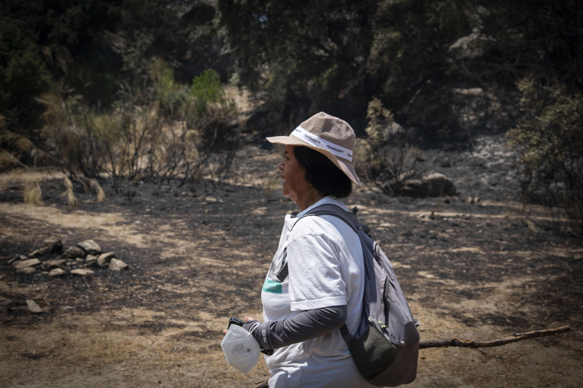 Elsa busca a sus ovejas el día de la evacuación del rebajo, el 25 de julio 2026