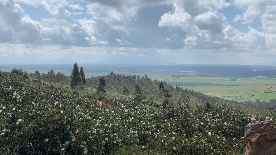 El Gran Buda de Cáceres, en entredicho por los contactos de la fundación promotora y la dictadura birmana