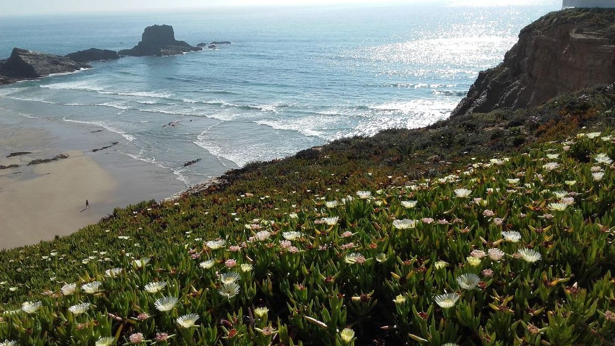 Zambujeira do Mar, en el Alentejo