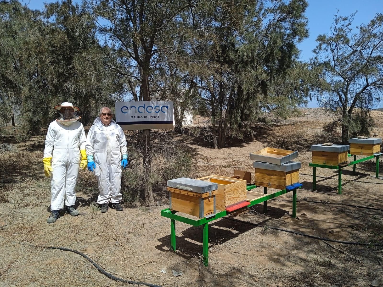En las imágenes, Fernando y un compañero en pleno mantenimiento de las colmenas instaladas recientemente en la central térmica de Endesa en Barranco de Tirajana.