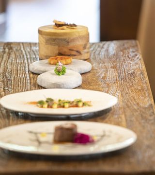 Creaciones de José Antonio Medina