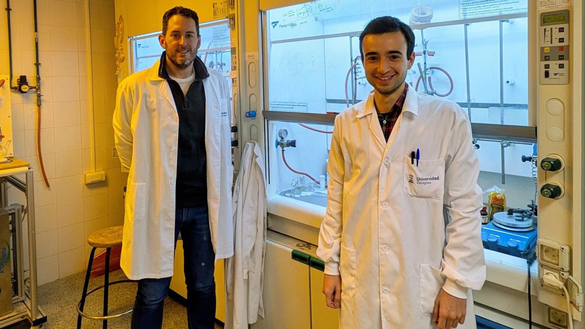 Investigadores aragoneses del INMA desarrollan un sensor portátil capaz de detectar la salmonella en una hora