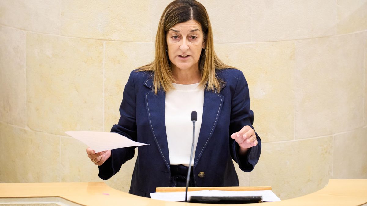 El presupuesto y los deshollinadores