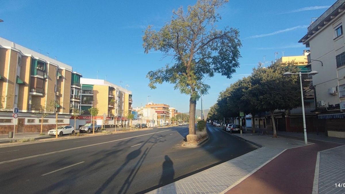 Avenida de Trassierra. Su reciente remodelación ha mantenido el modelo tradicional dominado por el coche mientras que el carril bici se ha vuelto a subir en la acera