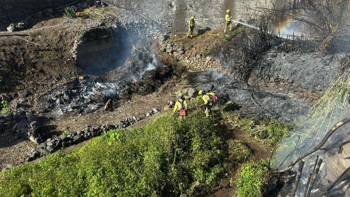 Conato de incendio en un cañaveral en Santa Cruz de La Palma
