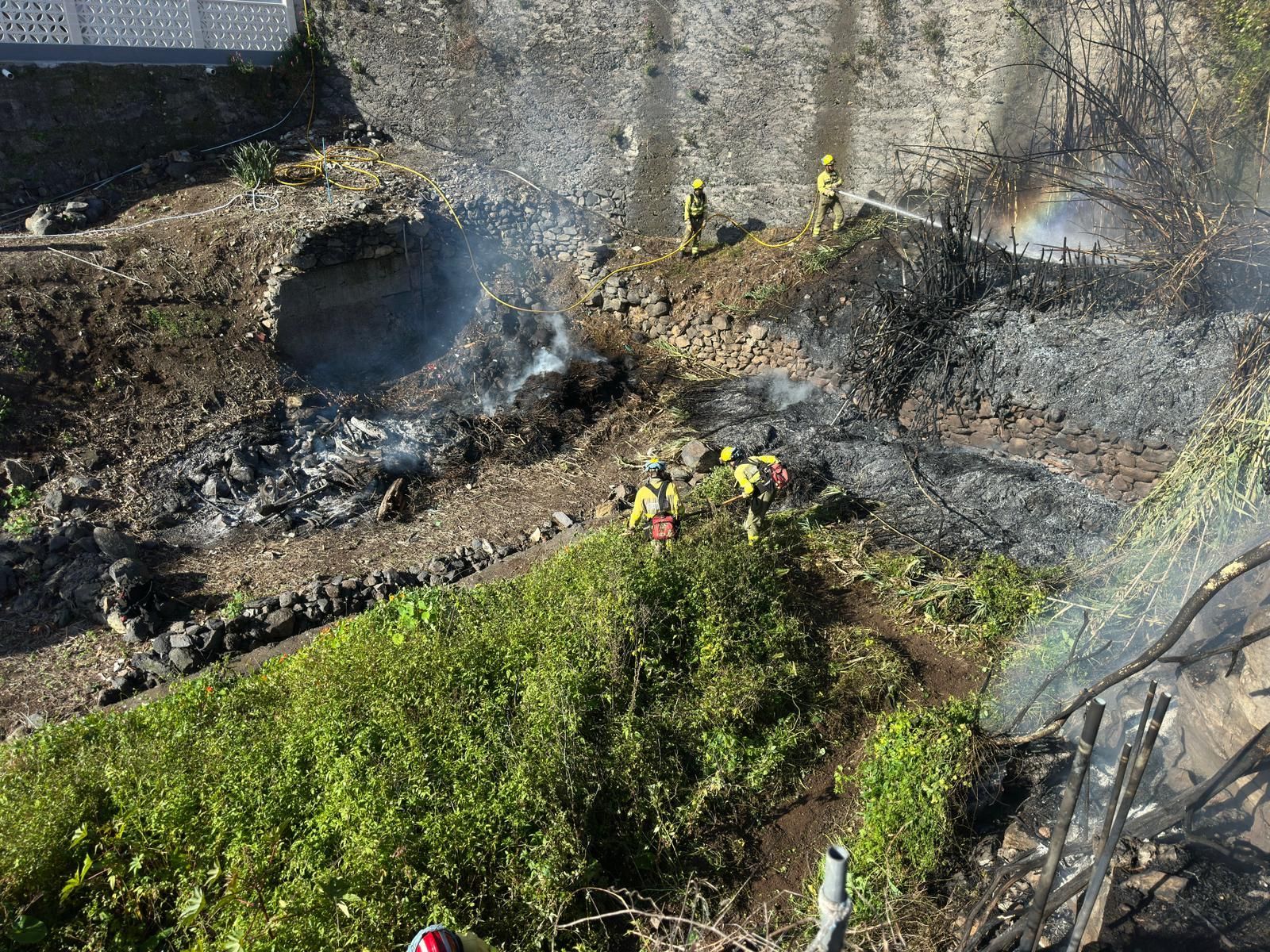 Bomberos La Palma e EIRIF en la extinción del conato de incendio en cañaveral de la zona de La Dehesa, en el municipio de Santa Cruz de La Palma.