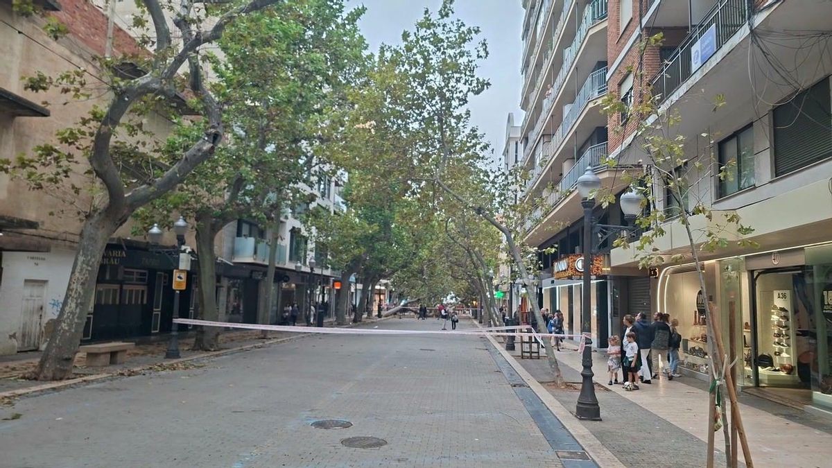 precinto calle campo 2