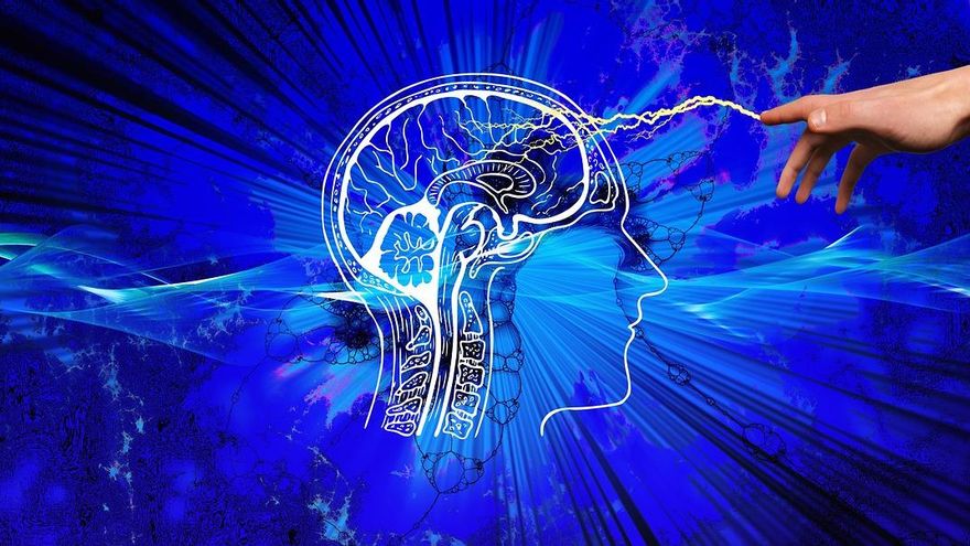 Hábitos aparentemente sin importancia que dañan tu cerebro