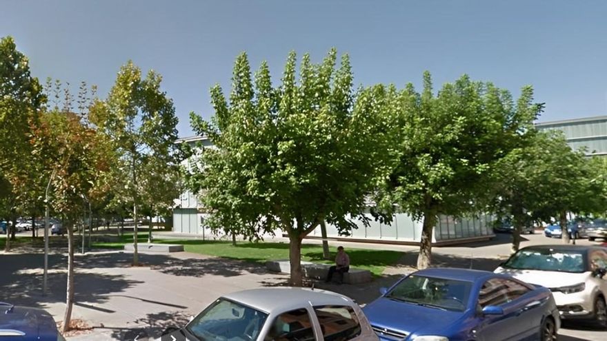 El proyecto de arreglo del entorno del Musac desvela el coste de cortar un árbol en León capital