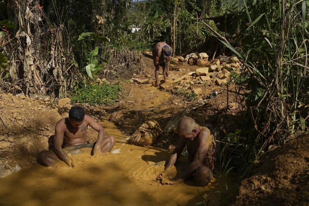 En Venezuela, los mineros realizan durante horas la búsqueda de oro en estanques donde el agua inerte favorece la proliferación de mosquitos que transmiten enfermedades, como la malaria y el dengue. Foto: AP Photo/Matías Delacroix