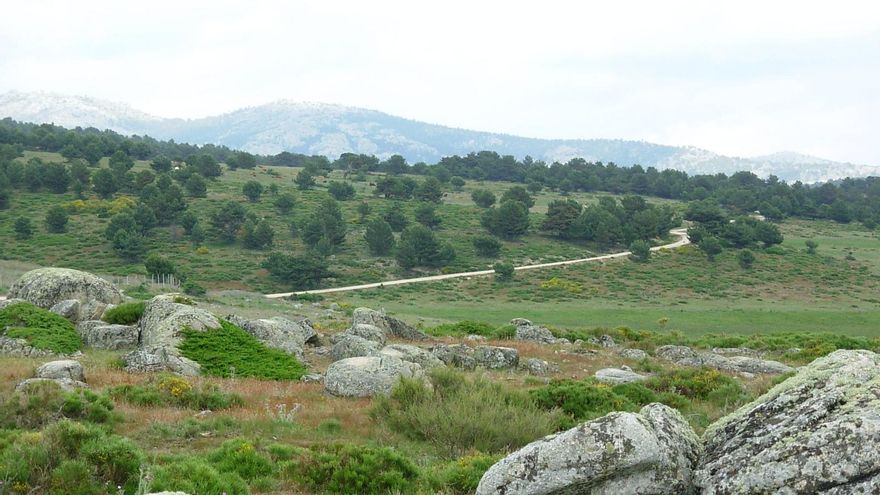 La Cepeda, el enclave rodeado por Castilla y León y reclamado por Segovia que pertenece a Madrid por una subasta