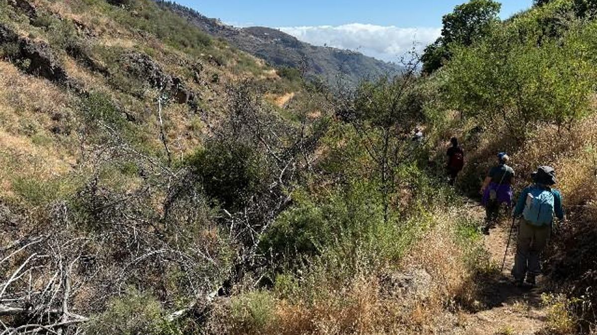 Visita de los ecologistas del Turcón al Barranco de La Mina.