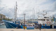 Horizonte Elcano