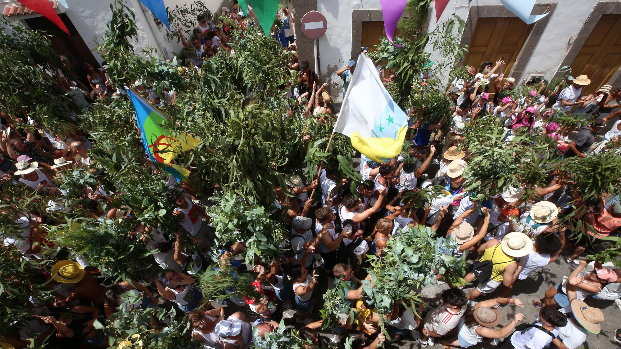 Galería de imágenes de La Rama 2025