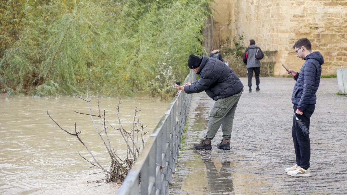Crecida del río Guadalquivir a su paso por Córdoba