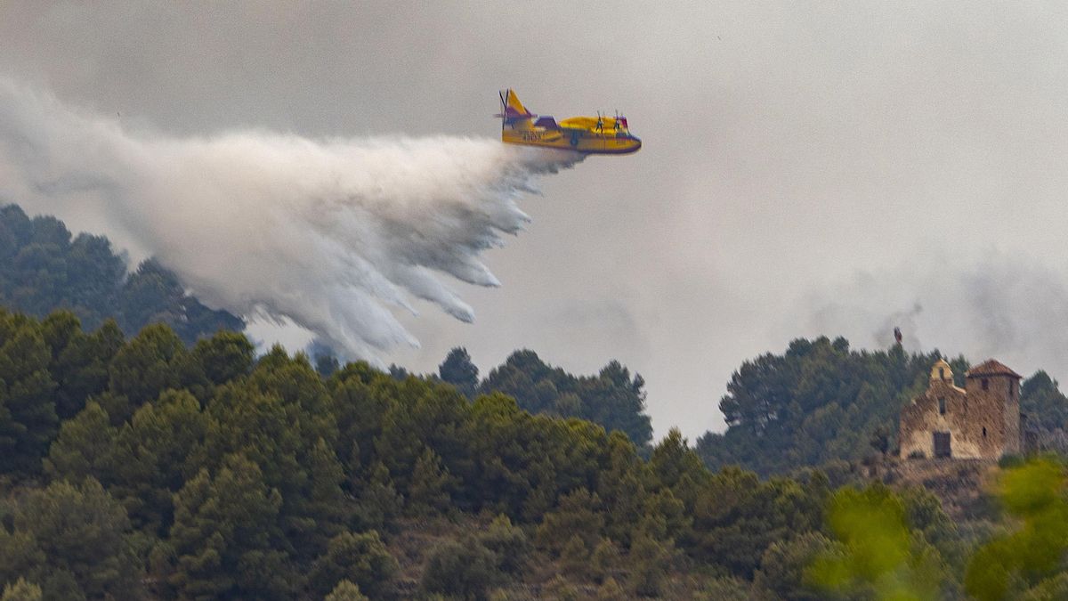 ¿Crisis climática, qué crisis?