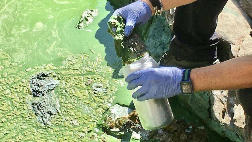 Recogida de muestras del lodo del río Tajo a su paso por el Parque Nacional de Monfragüe