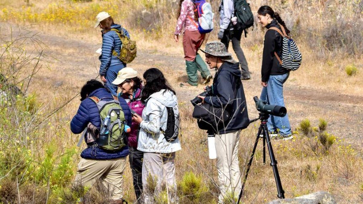 Observadores ciudadanos durante el BioBlitz de la Frontera en Rancho Bonito, Ensenada. Foto: cortesía Carlos Adrián Ceceña