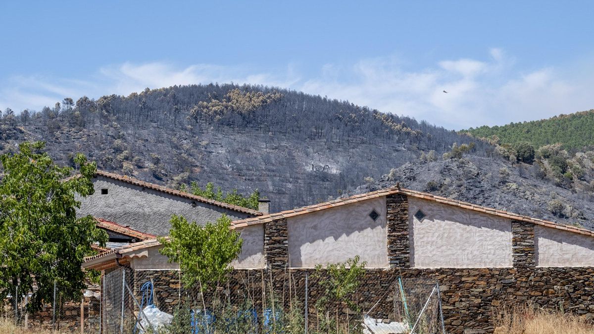 Castilla-La Mancha emite un aviso sobre la calidad del aire en el norte de la provincia de Guadalajara