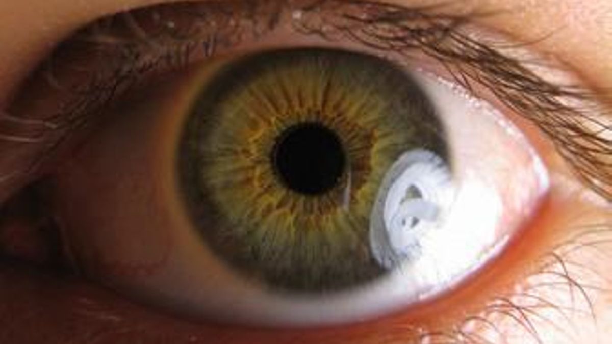 Avances contra la "ceguera silenciosa" en el nuevo congreso de la Sociedad Española del Glaucoma que acoge Toledo