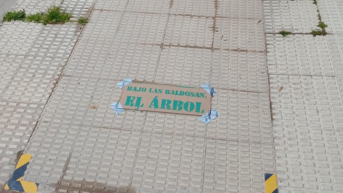 Protesta vecinal por el plan para poner hormigón en los alcorques