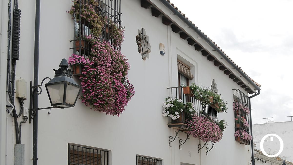 Rejas y Balcones en la C/ Postrera, 5