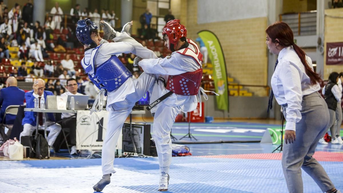 Open internacional de Andalucía de Taekwondo y Copa Iberdrola