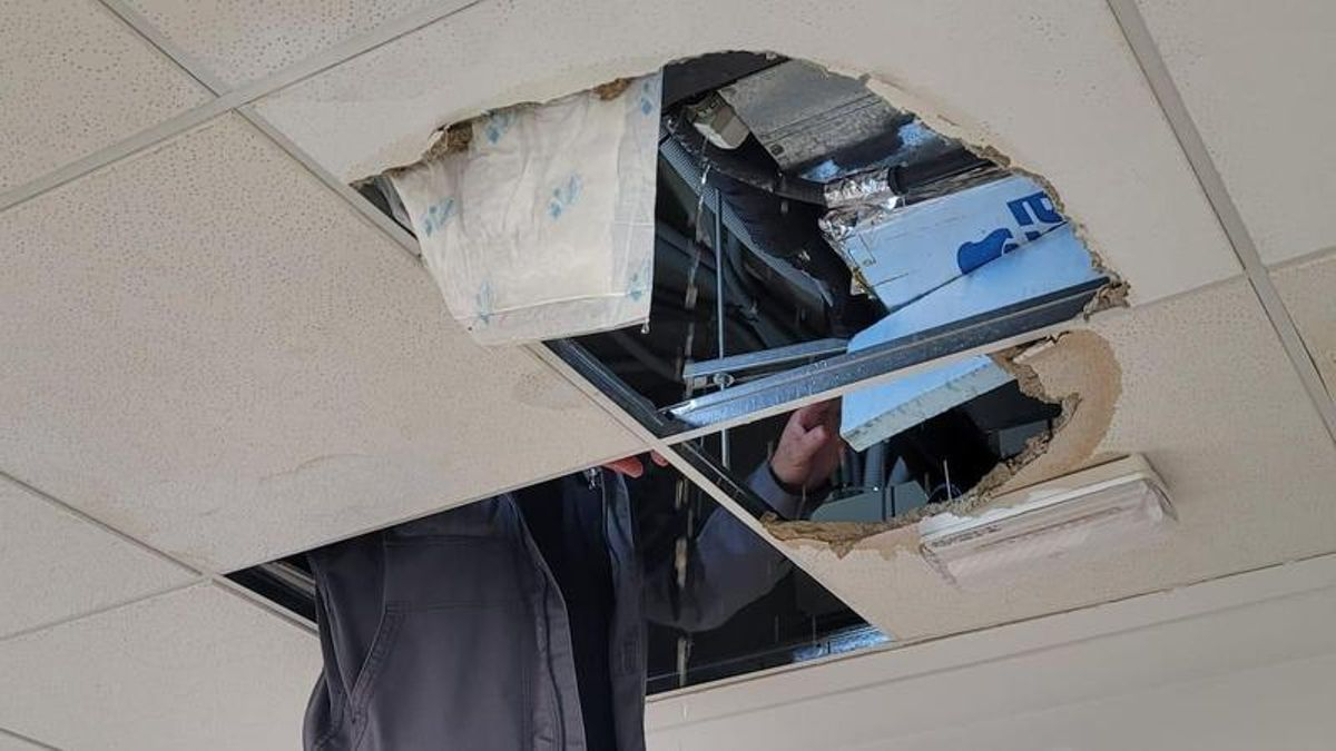 Plagas, techos caídos y una serpiente: las deficiencias persisten en un centro de salud mental denunciado en Inspección
