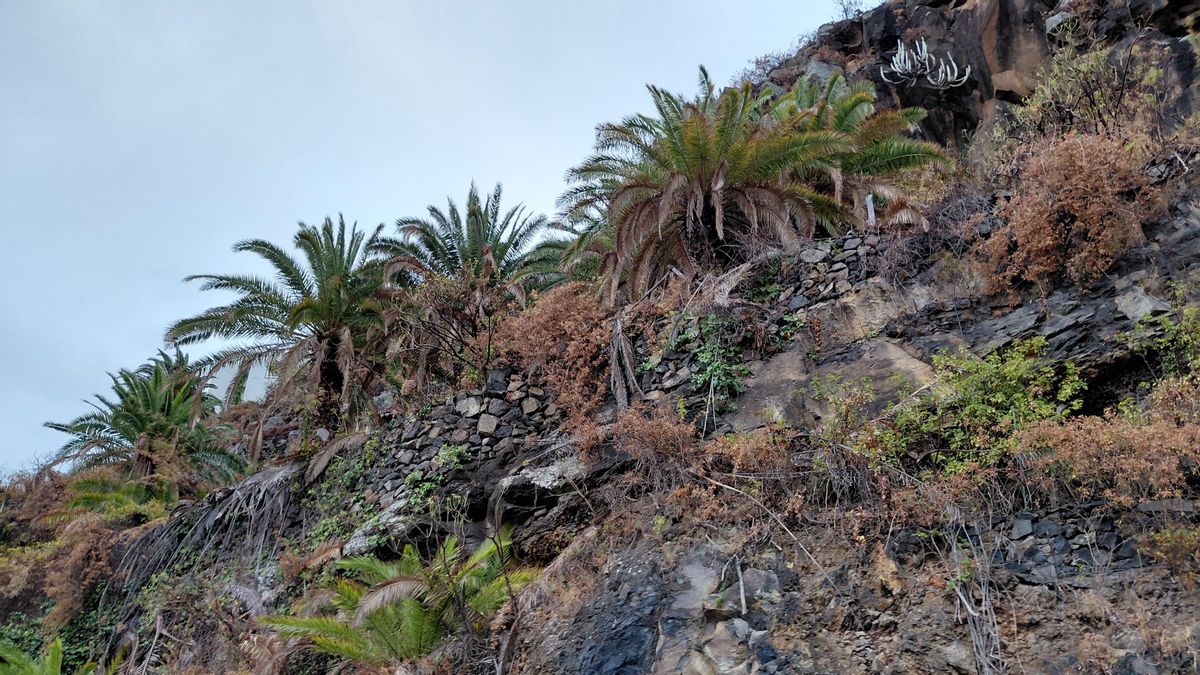 El otoño se asoma a La Palma a final de agosto