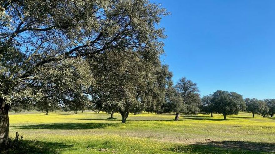 Foto: Francisco Martínez Arroyo