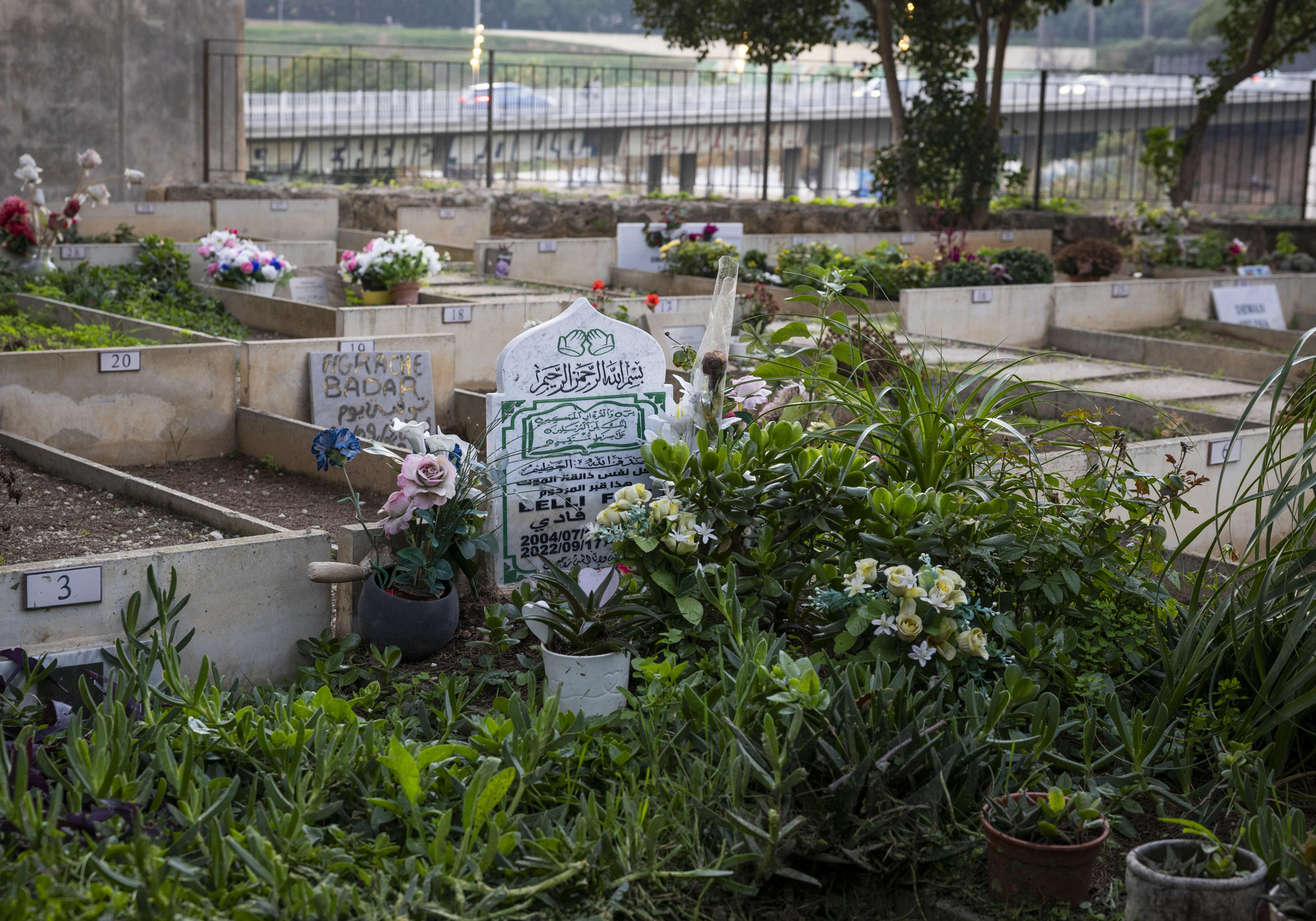 Interior del Jardí de l'islam, en Palma