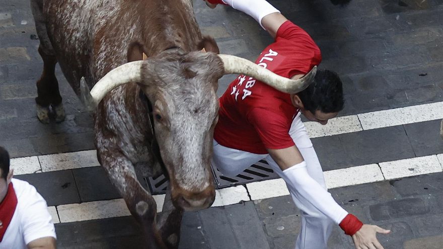 Un mozo pasa rozando a un astado durante el séptimo encierro de los Sanfermines ante los toros de la ganadería de Victoriano del Río Cortés, este miércoles en Pamplona. EFE/Jesus Diges