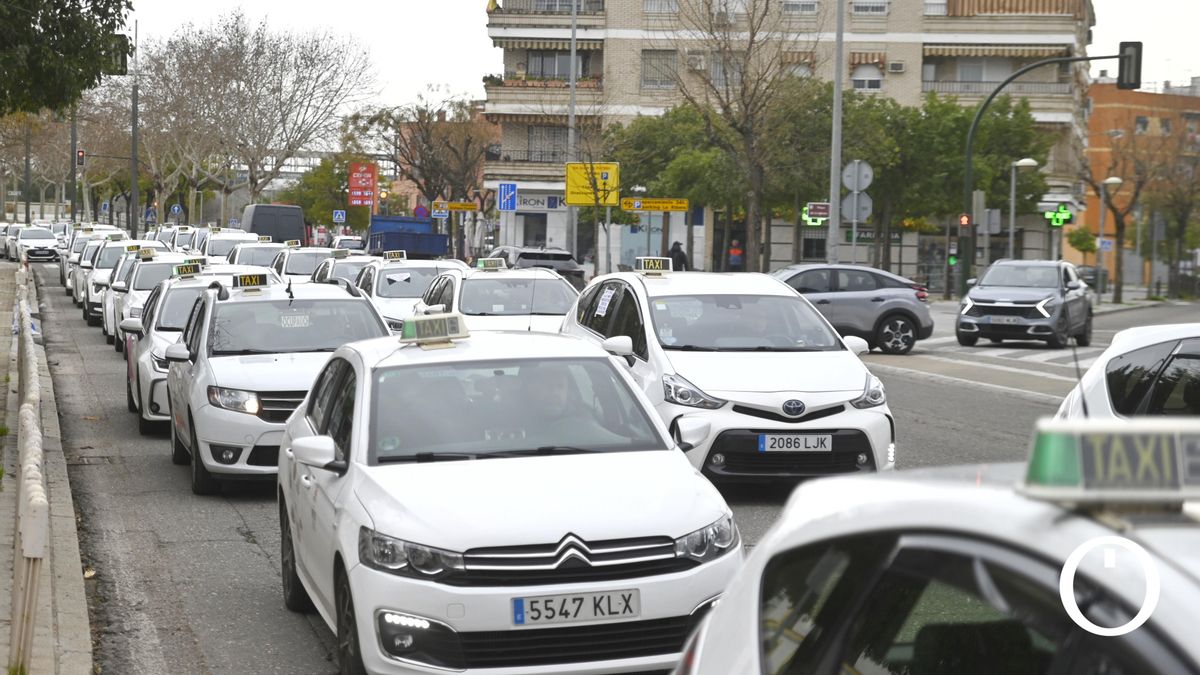 Protesta de los taxistas en Córdoba