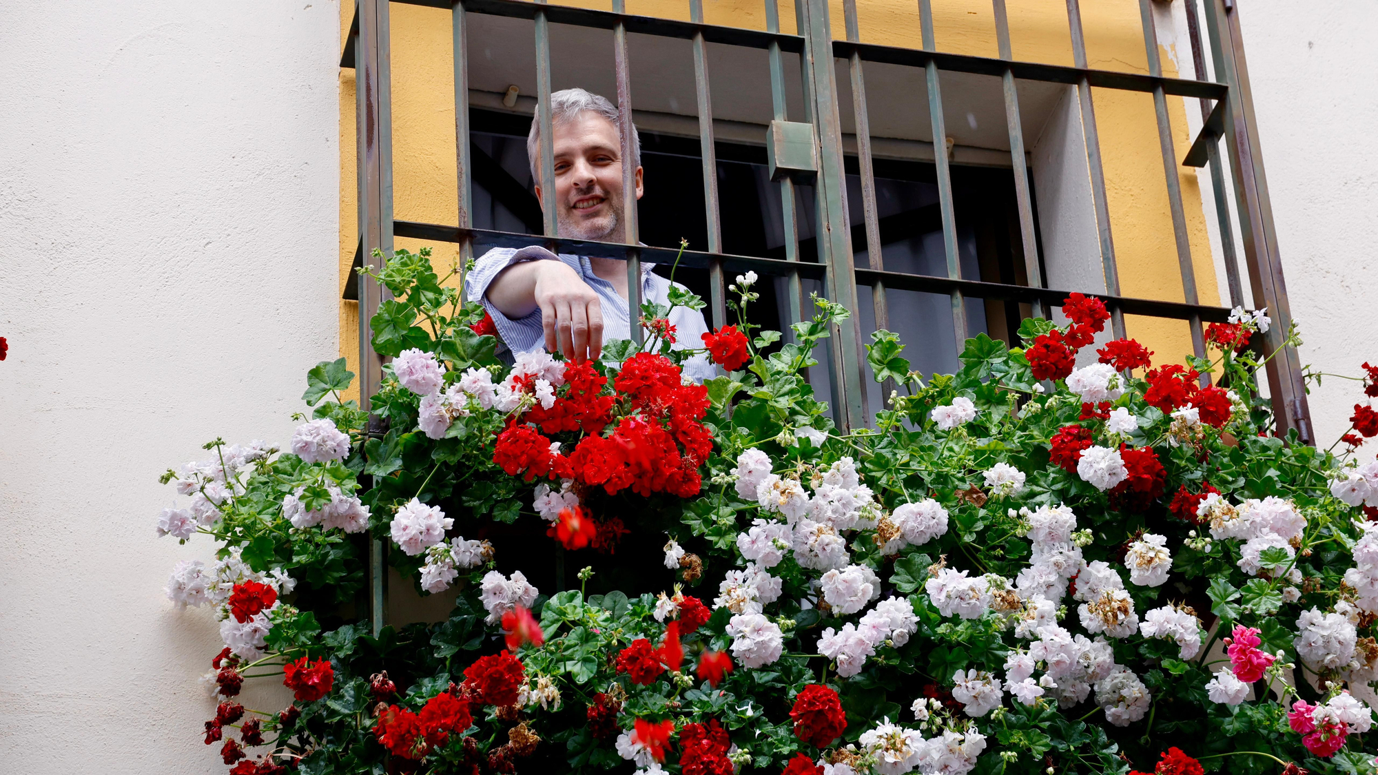Primer premio de Rejas y Balcones en Fernán Pérez de Oliva, 7