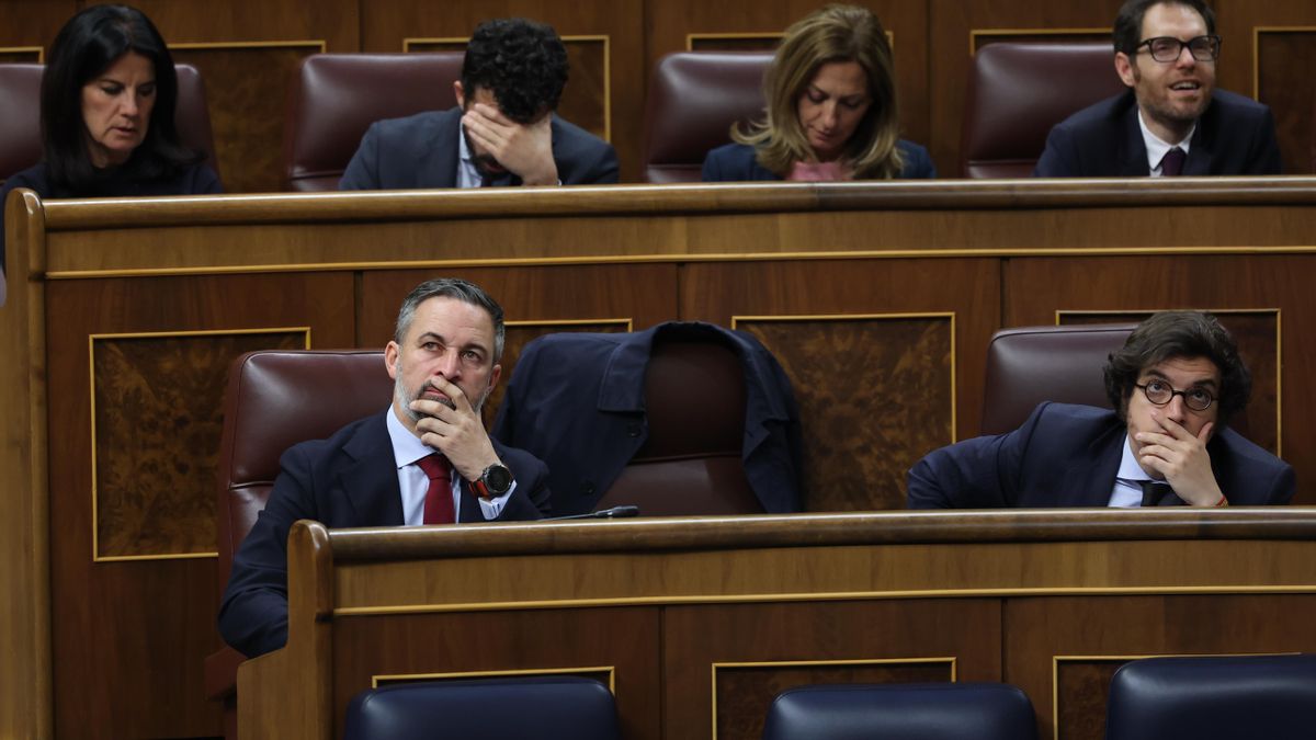 Los procesos de Bambú