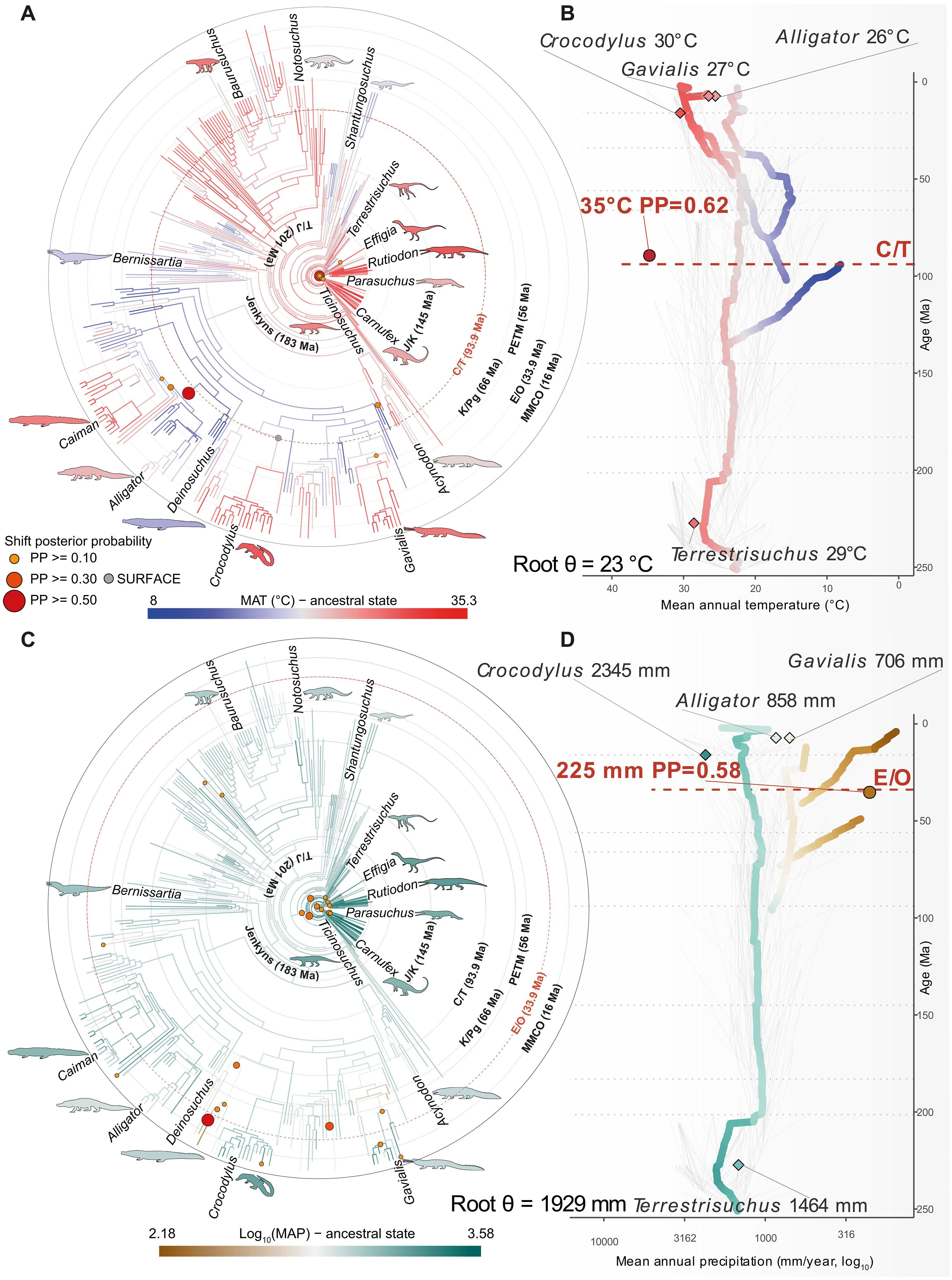 Evolución del nicho climático en Pseudosuchia.