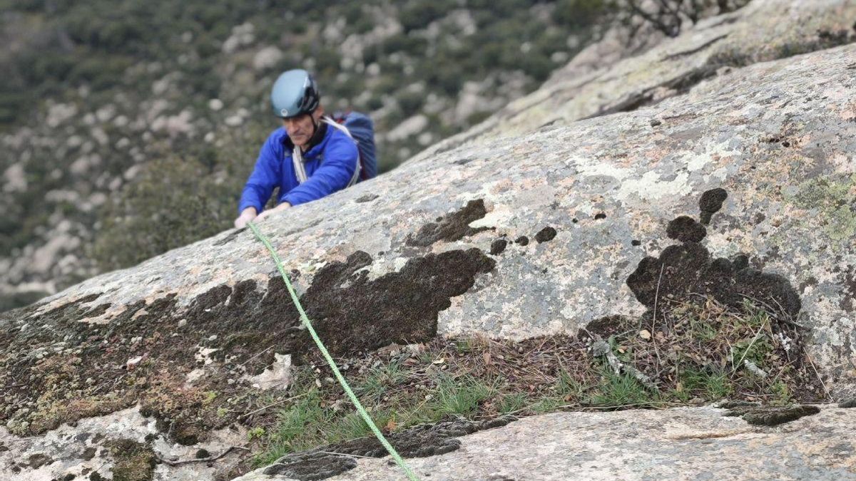 Cuerdas de 8.9 mm., la diferencia no está solo en el diámetro