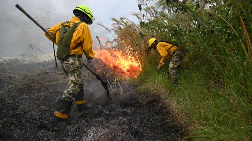 Controlan incendio que afectó a 70 hectáreas de bosque nativo en el centro de Paraguay
