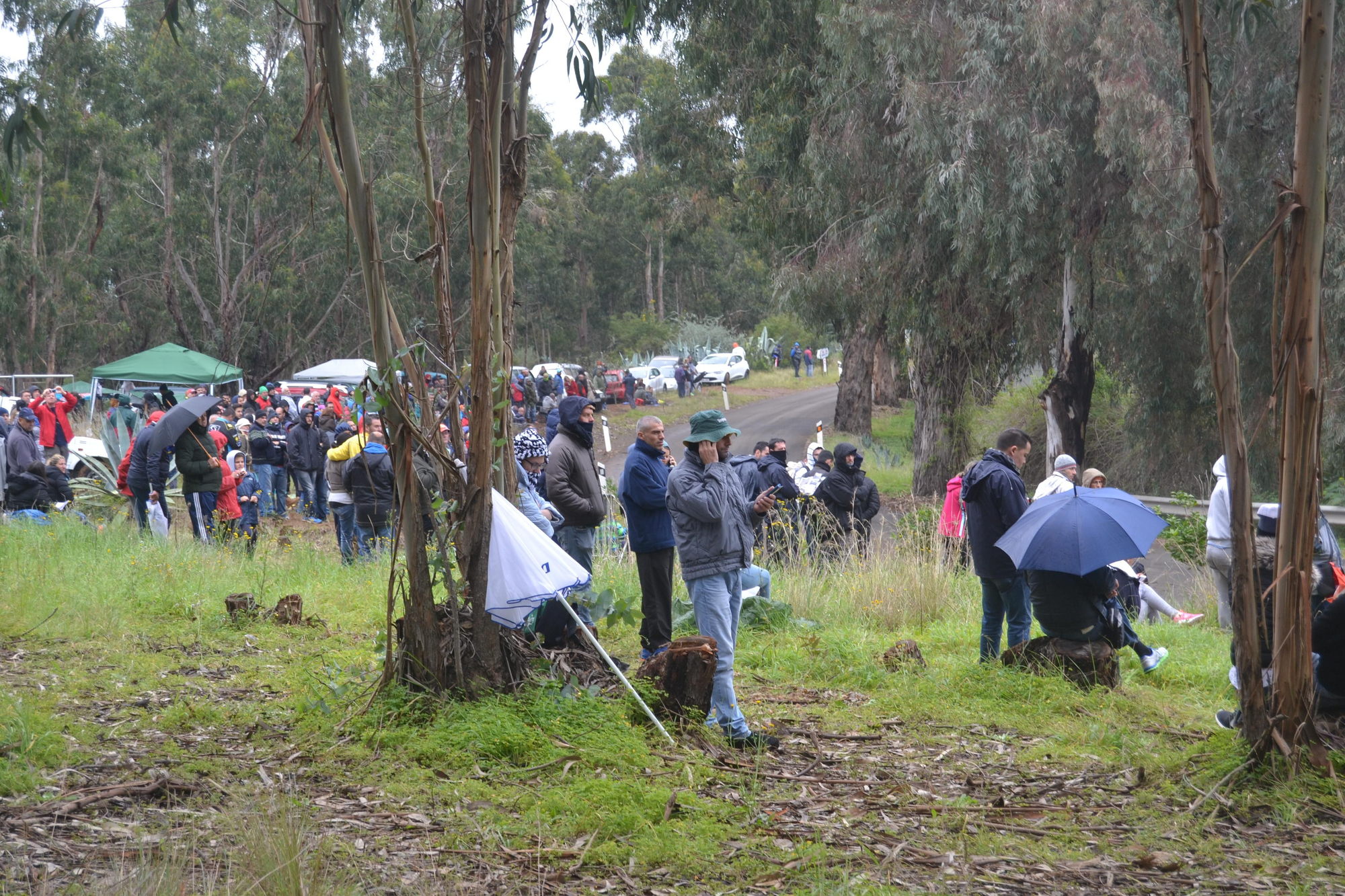 La salida del Rally Islas Canarias en el primer tramo del viernes 11, de Moya a Fontanales. (Iván Alejandro).