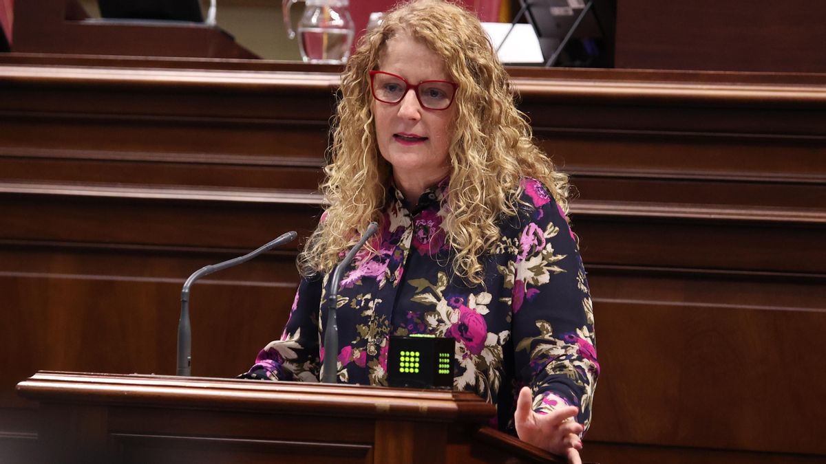 Raquel Díaz, diputada del PP por La Palma en el Parlamento de Canarias.