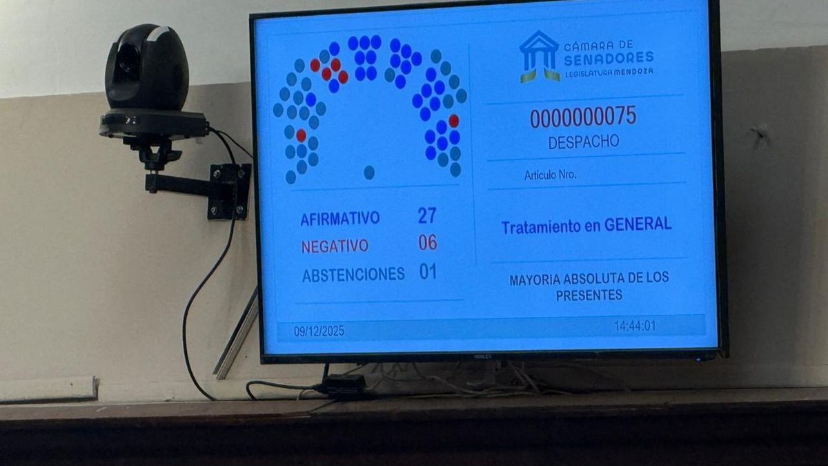 Así quedó el tablero de votos tras la sesión en el Senado.