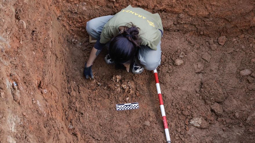 Localizan los primeros restos con disparos en la cabeza en la que puede ser la mayor fosa del franquismo en Extremadura