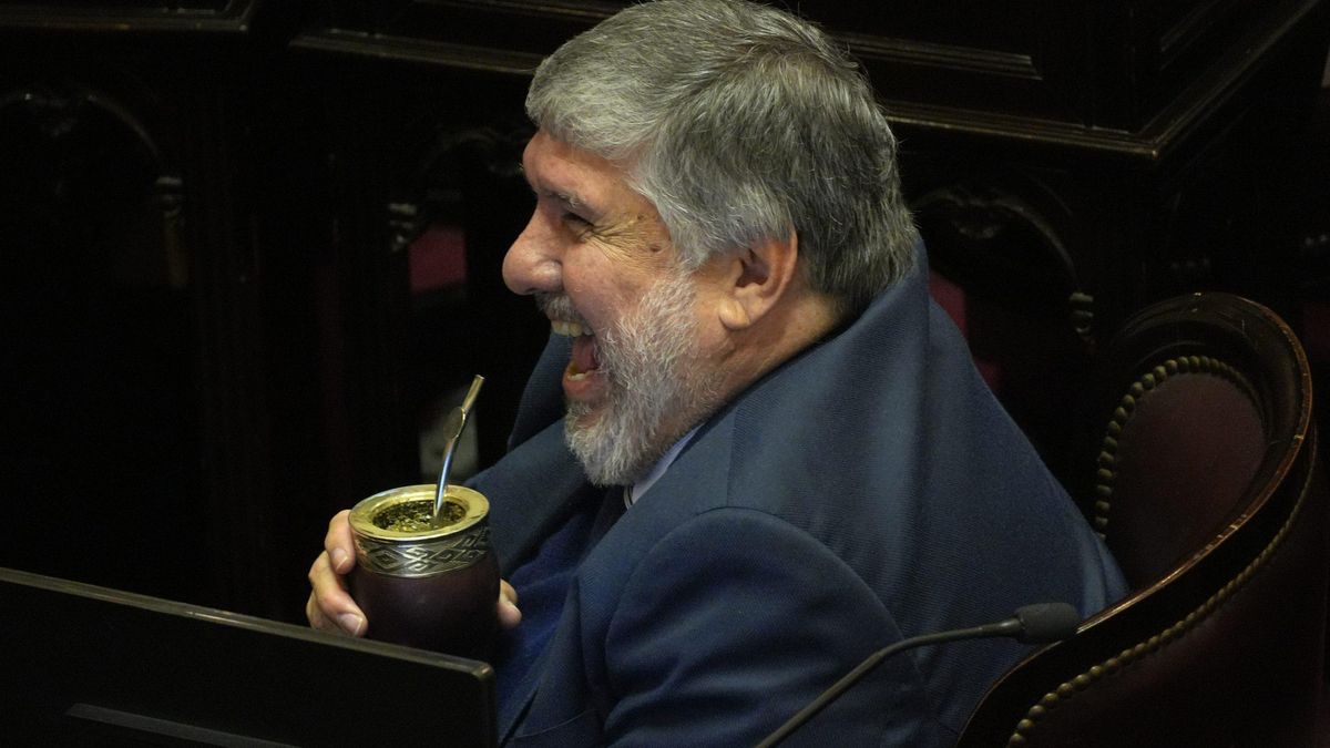 El jefe de la bancada peronista, José Mayans