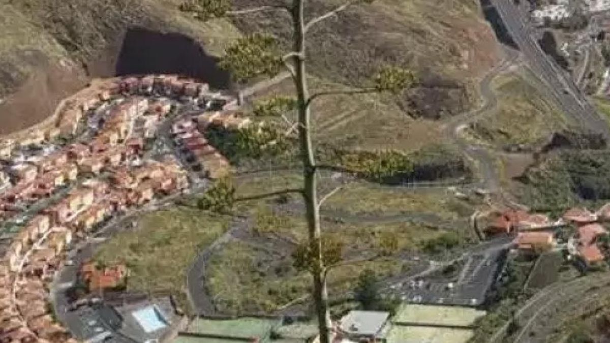 Imagen de archivo del Valle de la Luna, en Breña Alta.