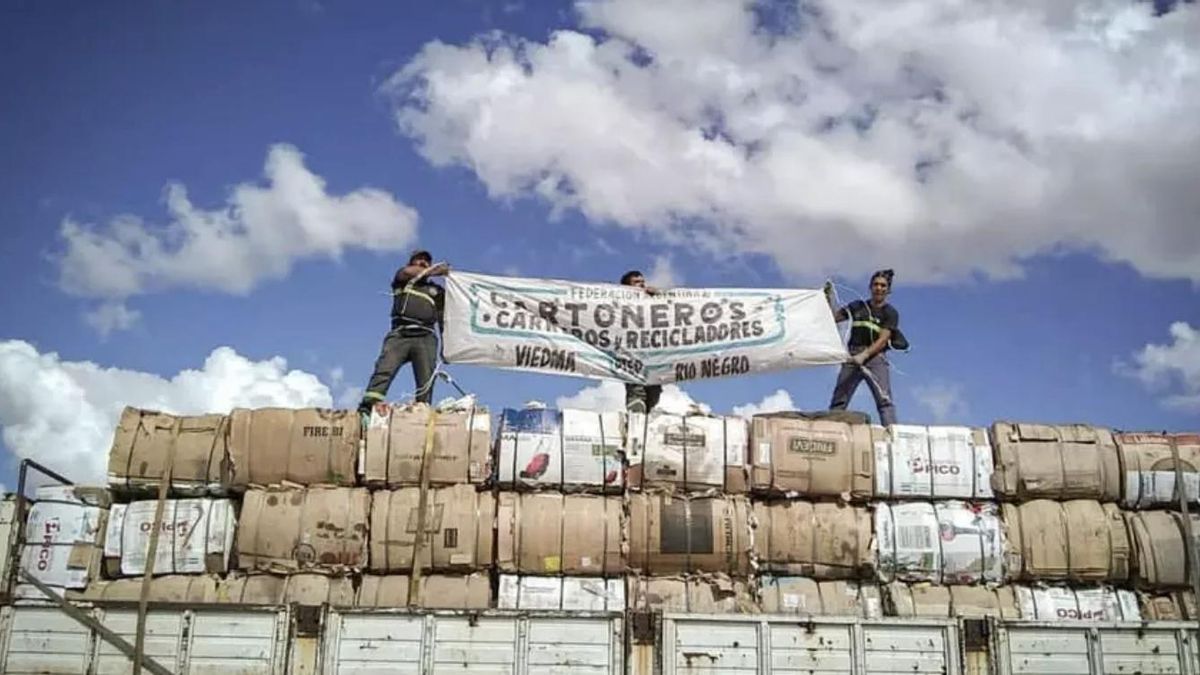 La Federación Argentina de Cartoneros, Carreros y Recicladores se movilizó contra el proyecto. “Estamos peleando por un sistema que hace 20 años venimos cuidando”, sostuvo Sergio Sánchez, presidente de la organización.