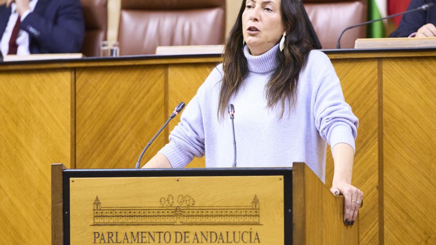 La consejera de Inclusión Social, Juventud, Familias e Igualdad, Loles López (Fotografía de archivo)