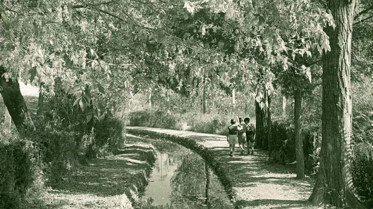 Niños junto a El Canalillo en la Dehesa de la Villa en la década de los 50