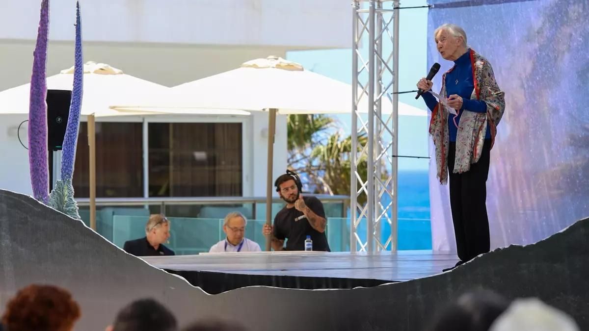 Starmus "buscará la verdad" en Tenerife y La Palma con la Medalla de la Tierra dedicada a Jane Goodall