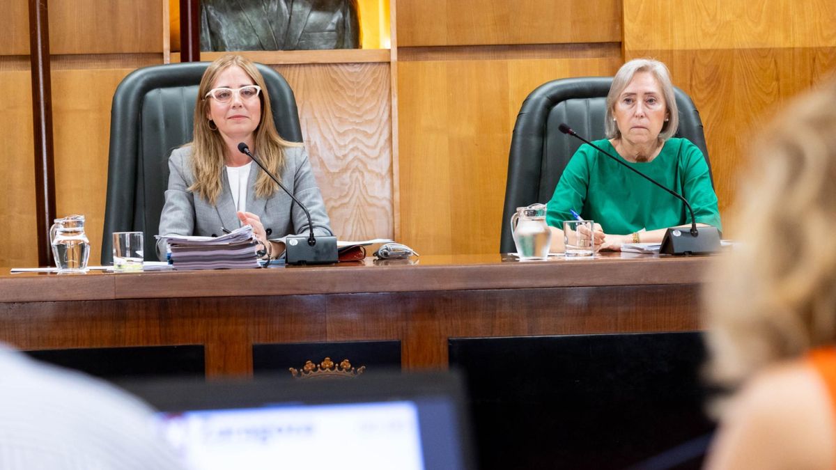 Zaragoza bonificará tres proyectos empresariales que supondrán más de 35 millones de inversión y 149 empleos